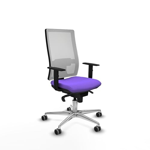 Piqueras y Crespo - Ergonomischer Studienstuhl mit 1D-Armen, Synchronmechanik in 5 Positionen, verstellbare Rückenlehne und 1D-Lendenwirbelstütze. Piqueras y Crespo - Ergonomischer Studienstuhl mit 1D-Armen, Synchronmechanik in 5 Positionen, verstellbare Rückenlehne und 1D-Lendenwirbelstütze. von Piqueras y Crespo