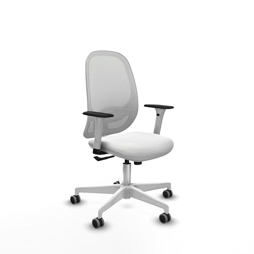 Piqueras y Crespo Ergonomischer Stuhl bis 120 kg, mit fester Rückenlehne, 1D-Armlehnen und Lendenwirbelstütze L1D, ideal für 8 Stunden Nutzung von Piqueras y Crespo