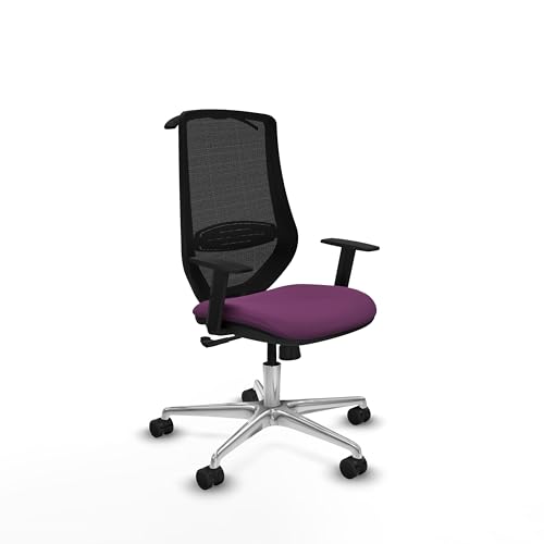 Piqueras y Crespo Ergonomischer Stuhl für 8 Stunden Betriebsdauer, Maximales Gewicht 120 kg, 1D-Armlehnen, 4 Positionen, Lendenwirbelstütze 1D, feste Rückenlehne von Piqueras y Crespo