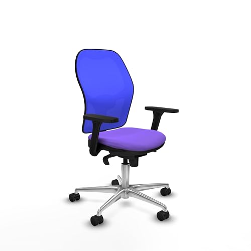 Piqueras y Crespo Ergonomischer Stuhl mit fester Rückenlehne, 3D-Armlehnen, 1D Lendenwirbelstütze, 5-fach synchronisierter Mechanismus, attraktive Farbe und maximales Gewicht von 120 kg von Piqueras y Crespo