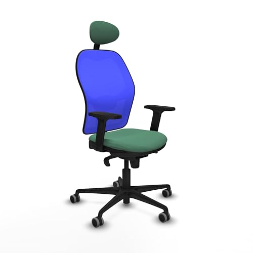 Piqueras y Crespo Ergonomischer Stuhl mit fester Rückenlehne, festem Kopf, 1D Lendenwirbelstütze, 2D-Arm, 5-fach Synchronmechanik, für eine Nutzung von 8 Stunden und einem maximalen Gewicht von 120 kg von Piqueras y Crespo