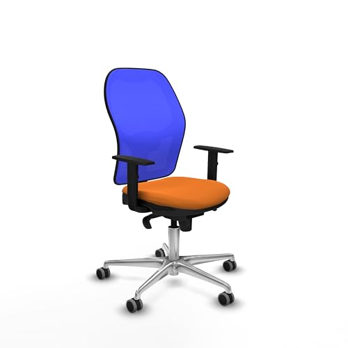 Piqueras y Crespo Ergonomischer bequemer Bürostuhl, feste Rückenlehne, 1D Lendenwirbelstütze, 5-fach synchronisierter Mechanismus, 120 kg, 8 Stunden Nutzung, 1D-Arm, attraktive Farbe von Piqueras y Crespo