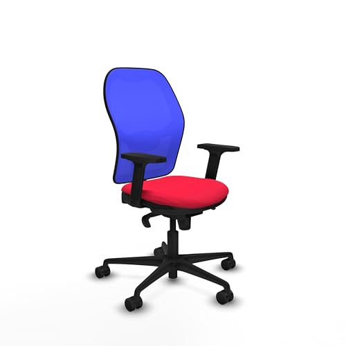 Piqueras y Crespo Ergonomischer verstellbarer Stuhl für 8 Stunden Nutzung, mit fester Rückenlehne, 2D-Armlehnen, 1D Lendenwirbelstütze, 5-fach Synchronmechanik, attraktive Farbe Piqueras y Crespo Ergonomischer verstellbarer Stuhl für 8 Stunden Nutzung, mit fester Rückenlehne, 2D-Armlehnen, 1D Lendenwirbelstütze, 5-fach Synchronmechanik, attraktive Farbe von Piqueras y Crespo