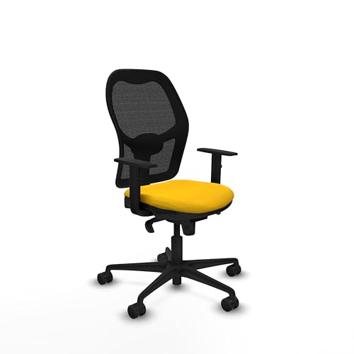 Piqueras y Crespo Jorquera Ergonomische Stühle mit fester Rückenlehne, Lendenwirbelstütze 1D, Synchronmechanik 5 Positionen, 1D-Arme, 8 Stunden Nutzung, Maximalgewicht 120 kg, attraktive Farbe von Piqueras y Crespo