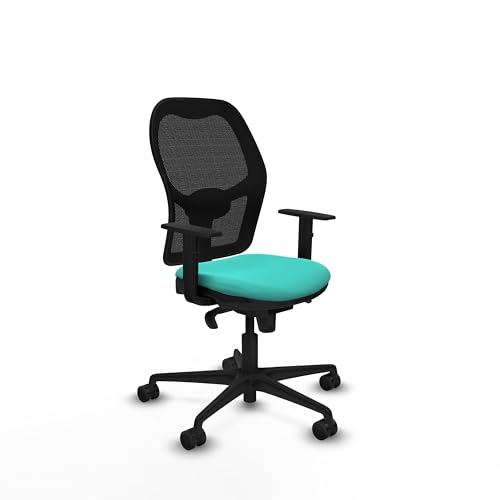 Piqueras y Crespo Jorquera ergonomischer Stuhl für 8 Stunden Verwendung, mit fester Rückenlehne, Lendenwirbelstütze 1D, 1D-Arme, Synchronmechanik 5 Positionen, Maximalgewicht 120 kg, klassische Farbe von Piqueras y Crespo