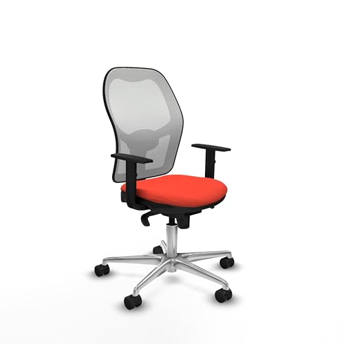 Piqueras y Crespo Jorquery - Der beste Bürostuhl für die Arbeit von zu Hause aus mit fester Rückenlehne, 1D Lendenwirbelstütze, 1D-Arm und optimiertem Design für 8 Stunden Nutzung, Farbe: von Piqueras y Crespo