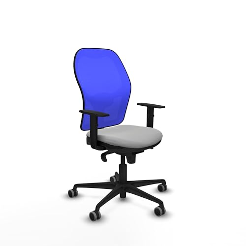 Piqueras y Crespo Jorquierstuhl, ergonomischer Hochstuhl mit fester Rückenlehne, 1D-Arm, 1D Lendenwirbelstütze, 5-fach Synchronmechanik, 8 Stunden Nutzung, maximales Gewicht 120 kg von Piqueras y Crespo
