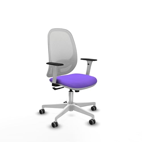 Piqueras y Crespo Koriano: Ergonomischer Bürostuhl, höhenverstellbar, feste Rückenlehne, Lendenwirbelstütze 1D, Synchronmechanik in 3 Positionen, für 8 Stunden Nutzung und maximales Gewicht von 120 kg von Piqueras y Crespo