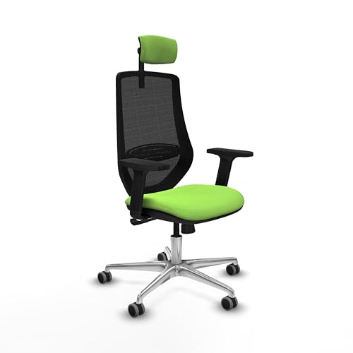 Piqueras y Crespo Luxuriöser Bürostuhl mit fester Rückenlehne, 2D-Kopfteil, 1D-Lendenwirbelstütze, 2D-Armlehnen und Synchronmechanik in 4 Positionen, ideal für 8 Stunden Nutzung und maximales Gewicht Piqueras y Crespo Luxuriöser Bürostuhl mit fester Rückenlehne, 2D-Kopfteil, 1D-Lendenwirbelstütze, 2D-Armlehnen und Synchronmechanik in 4 Positionen, ideal für 8 Stunden Nutzung und maximales Gewicht von Piqueras y Crespo