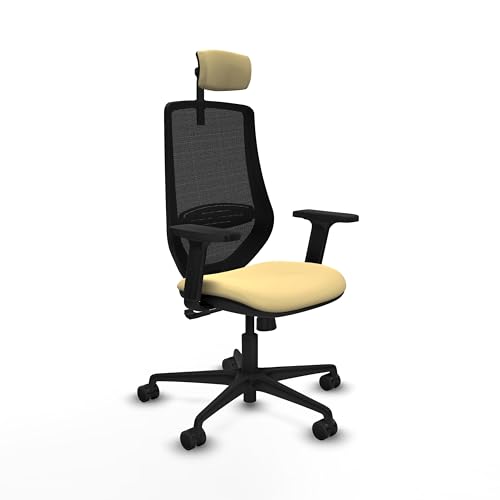 Piqueras y Crespo Mardos ergonomischer kleiner Schreibtischstuhl, ideal zum Zeichnen und Arbeiten zu Hause, mit fester Rückenlehne, Lendenwirbelstütze L1D, CAB2D-Kopfteil, 2D-Armlehnen und von Piqueras y Crespo