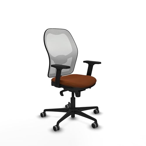 Piqueras y Crespo Schreibtischstuhl, höhenverstellbar, mit ergonomischer Schreibtischhöhe, feste Rückenlehne, 2D-Arme, Lendenwirbelstütze 1D, für Verwendung bis zu 120 kg für 8 Stunden von Piqueras y Crespo