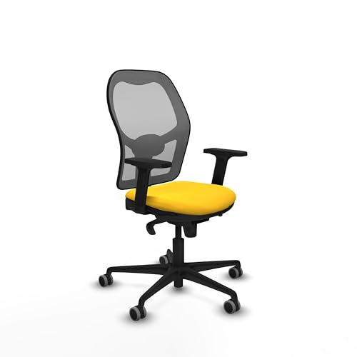 Piqueras y Crespo Schreibtischstuhl, höhenverstellbar, mit ergonomischer Schreibtischhöhe, fester Rückenlehne, 2D-Arme, 1D-Lendenwirbelstütze, für 8 Stunden Nutzung und maximales Gewicht von 120 kg Piqueras y Crespo Schreibtischstuhl, höhenverstellbar, mit ergonomischer Schreibtischhöhe, fester Rückenlehne, 2D-Arme, 1D-Lendenwirbelstütze, für 8 Stunden Nutzung und maximales Gewicht von 120 kg von Piqueras y Crespo
