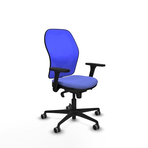 Piqueras y Crespo Stuhl Jorquera, der ergonomischste der Welt, ideal für 8 Stunden Nutzung, mit fester Rückenlehne, 3D-Armlehnen, 1D-Lendenwirbelstütze, 5-fach Synchronmechanik, Farbe: Piqueras y Crespo Stuhl Jorquera, der ergonomischste der Welt, ideal für 8 Stunden Nutzung, mit fester Rückenlehne, 3D-Armlehnen, 1D-Lendenwirbelstütze, 5-fach Synchronmechanik, Farbe: von Piqueras y Crespo