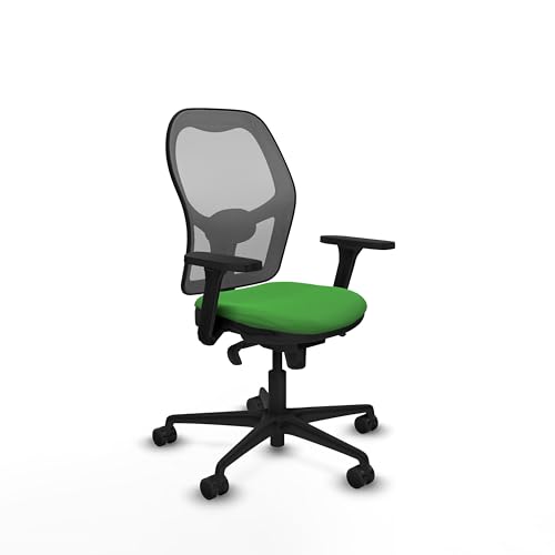 Piqueras y Crespo Transparenter Bürostuhl mit 3D-Armen, Synchronmechanik in 5 Positionen, Lendenwirbelstütze 1D und feste Rückenlehne, ideal für die Arbeit am Computer Piqueras y Crespo Transparenter Bürostuhl mit 3D-Armen, Synchronmechanik in 5 Positionen, Lendenwirbelstütze 1D und feste Rückenlehne, ideal für die Arbeit am Computer von Piqueras y Crespo