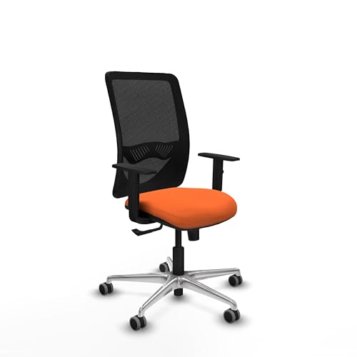 Piqueras y Crespo Zulema ergonomischer Bürostuhl in Farbe mit fester Rückenlehne, 1D-Armlehnen und 1D-Lendenwirbelstütze für 8 Stunden und maximales Gewicht von 120 kg Piqueras y Crespo Zulema ergonomischer Bürostuhl in Farbe mit fester Rückenlehne, 1D-Armlehnen und 1D-Lendenwirbelstütze für 8 Stunden und maximales Gewicht von 120 kg von Piqueras y Crespo