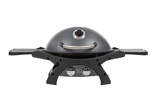 Pit Boss Sportsman 2 Tragbarer Gasgrill (aus Aluminiumguss, mit zwei Gasbrennern, Eingebautes Thermometer) 10754 von Pitboss