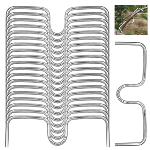 Piuluvor® 20 Stück Astzieher Metall, Pflanzenstütze Astspreizer Obstbaum Pflanzen Bieger Clips 4mm Astfixierer für Gartenbäume Obstbaum Aste (13cm) von Piuluvor