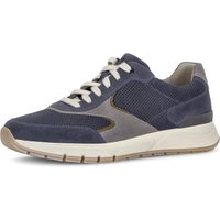 Pius Gabor Keilsneaker, Freizeitschuh, Halbschuh, Schnürschuh mit Kontrastbesätzen, G-Weite von Pius Gabor
