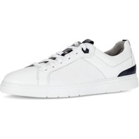 Pius Gabor Plateausneaker, Freizeitschuh, Halbschuh, Schnürschuh mit Perforierung, Weite G von Pius Gabor