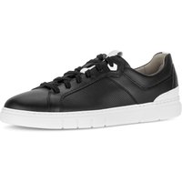 Pius Gabor Plateausneaker, Freizeitschuh, Halbschuh, Schnürschuh mit Perforierung, Weite G von Pius Gabor