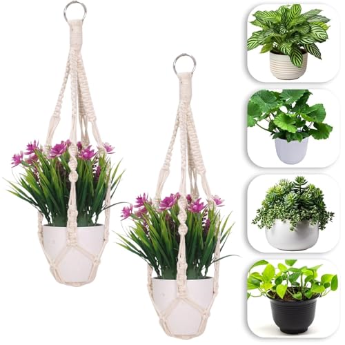 Pixaro 2 Stück Makramee Blumenampel mit Boho Hänge Körbe, Baumwollseil für Hängepflanztopf Beige Hängeampel zum Aufhängen für Innen Außen Balkon Wohnzimmer Garten Fenster Wanddekoration von Pixaro