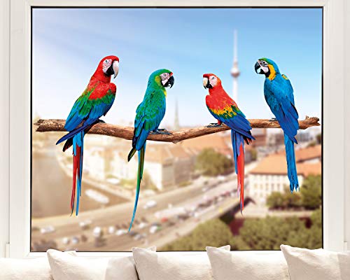 Pixblick Fenstersticker - Bunte Papageien auf einer Stange I Made in Germany I Wiederverwendbar von Pixblick