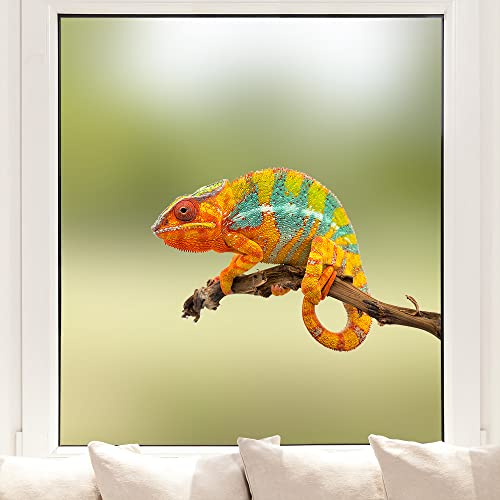 Pixblick Fenstersticker - Chamäleon I Made in Germany I Wiederverwendbar von Pixblick