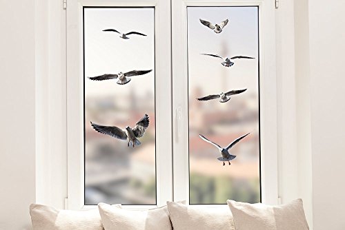 Pixblick Fenstersticker - Möwen I Made in Germany I Wiederverwendbar von Pixblick