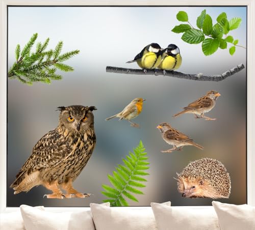 Pixblick Fenstersticker - Waldset I Waldtiere I Eule I Spatzen I Meisen I Igel I Made in Germany I Wiederverwendbar von Pixblick