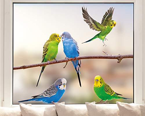 Pixblick Fenstersticker - Wellensittiche I Made in Germany I Wiederverwendbar von Pixblick