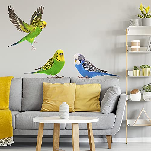 Pixblick Wandtattoo I Wellensittiche I Fotorealistisch von Pixblick