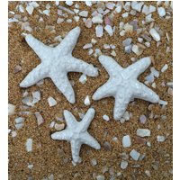 3 Seesternfliesen - Weiß von PixieTiles