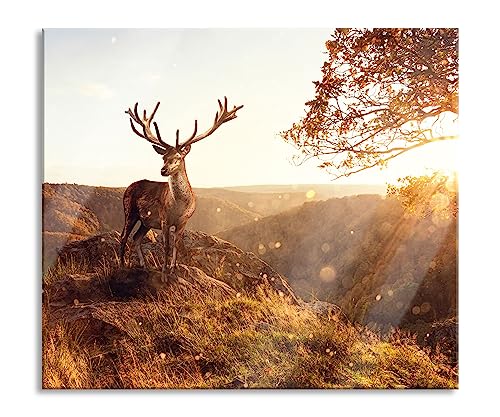 Anmutiger Hirsch bei Sonnenuntergang Herdabdeckplatte & Spritzschutz aus Echtglas | Für Herd-Kochfelder | 60x52 cm von Pixxprint