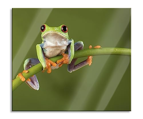 Baum-Frosch auf Bambus Herdabdeckplatte & Spritzschutz aus Echtglas | Für Herd-Kochfelder | 60x52 cm von Pixxprint