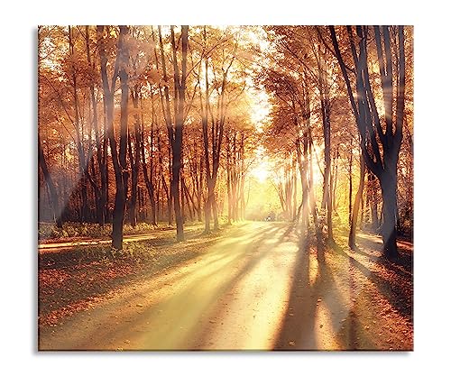 Baumallee im Herbst Herdabdeckplatte & Spritzschutz aus Echtglas | Für Herd-Kochfelder | 60x52 cm von Pixxprint