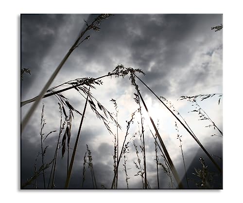 Düsteres Gras vorm Regen Herdabdeckplatte & Spritzschutz aus Echtglas | Für Herd-Kochfelder | 60x52 cm von Pixxprint