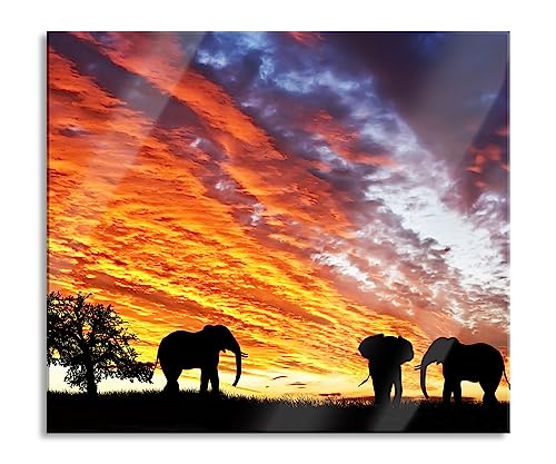 Elefanten in Wüste Herdabdeckplatte & Spritzschutz aus Echtglas | Für Herd-Kochfelder | 60x52 cm von Pixxprint