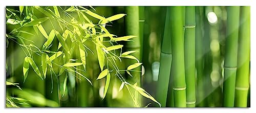 Glasbild Panorama | Wandbild aus Echtglas | Bambus mit Blättern | 100x40 cm | inkl. Aufhängung und Abstandshalter von Pixxprint