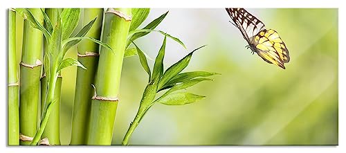 Glasbild Panorama | Wandbild aus Echtglas | Bambus mit Schmetterling | 100x40 cm | inkl. Aufhängung und Abstandshalter von Pixxprint