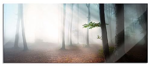 Glasbild Panorama | Wandbild aus Echtglas | Düsterer Wald im Nebel | 120x50 cm | inkl. Aufhängung und Abstandshalter von Pixxprint