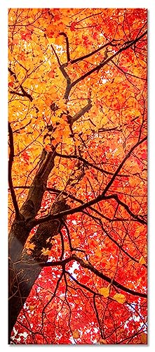 Glasbild Panorama | Wandbild aus Echtglas | Feurige Herbstblätter | 120x50 cm | inkl. Aufhängung und Abstandshalter von Pixxprint