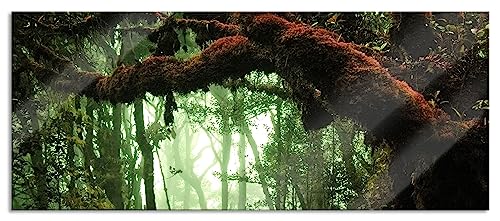 Glasbild Panorama | Wandbild aus Echtglas | Geheimnisvoller Regenwald | 120x50 cm | inkl. Aufhängung und Abstandshalter von Pixxprint