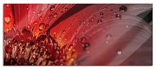 Glasbild Panorama | Wandbild aus Echtglas | Gerbera Blüte | 120x50 cm | inkl. Aufhängung und Abstandshalter von Pixxprint