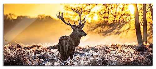 Glasbild Panorama | Wandbild aus Echtglas | Hirsch im Wald | 120x50 cm | inkl. Aufhängung und Abstandshalter von Pixxprint