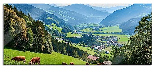 Glasbild Panorama | Wandbild aus Echtglas | Kuhherde auf Zillertaler Almwiese | 120x50 cm | inkl. Aufhängung und Abstandshalter von Pixxprint