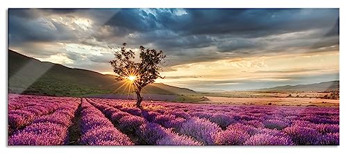 Glasbild Panorama | Wandbild aus Echtglas | Lavendel Provence mit Baum | 100x40 cm | inkl. Aufhängung und Abstandshalter von Pixxprint