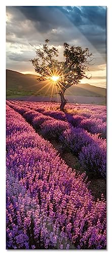 Glasbild Panorama | Wandbild aus Echtglas | Lavendel Provence mit Baum | 100x40 cm | inkl. Aufhängung und Abstandshalter von Pixxprint