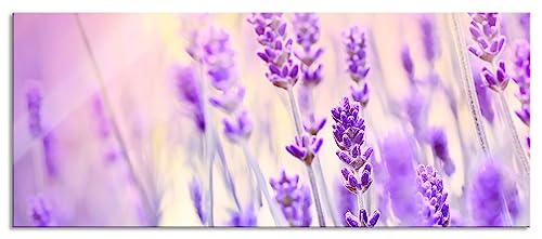 Glasbild Panorama | Wandbild aus Echtglas | Lavendel im Retro Look | 100x40 cm | inkl. Aufhängung und Abstandshalter von Pixxprint