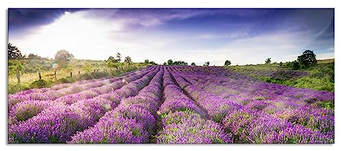 Glasbild Panorama | Wandbild aus Echtglas | Lavendelfeld Provence | 120x50 cm | inkl. Aufhängung und Abstandshalter von Pixxprint