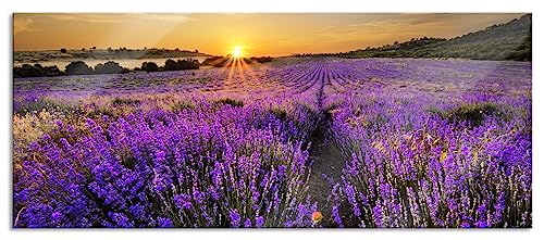 Pixxprint Glasbild Panorama, Wandbild aus Echtglas, Lavendelfeld in Frankreich, 100x40 cm, inkl. Aufhängung und Abstandshalter Pixxprint Glasbild Panorama, Wandbild aus Echtglas, Lavendelfeld in Frankreich, 100x40 cm, inkl. Aufhängung und Abstandshalter von Pixxprint